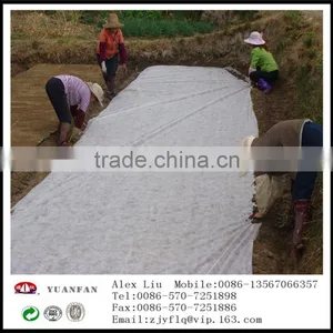 [ Factory Supply ] S / SS Spunbond Agriculture Nonwoven Cover Fabric for Ground Cover / Plant Cover thumbnail-5