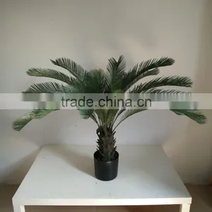 Decorative Sago Cycas Cycas Revoluta Artificial High Simulation Cycads Plant thumbnail-4