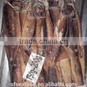 Seafood Squid Price of Frozen Seafood Illex Squid thumbnail-2