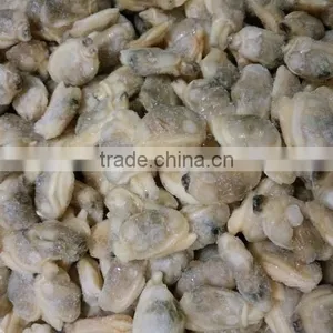 Dandong Taihua Cooked Baby Clam Without Shell for Export thumbnail-3