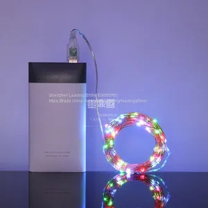 USB 5 Meter 50 Lights 10 Meter 100 Lights Colorful Munti Color Choosing Customized Copper String Fairy Firefly Light thumbnail-5