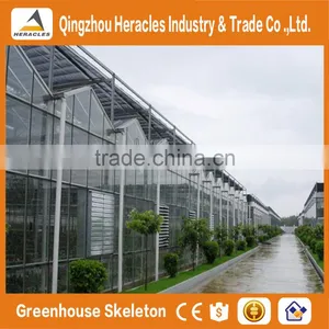 Heracles Venlo Glass Multi Span Agricultural Greenhouses thumbnail-3
