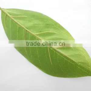 Indoor Christmas Flower Foliage Plant thumbnail-5