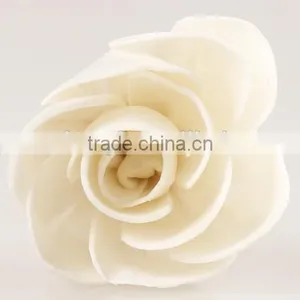 Sola Flower thumbnail-4