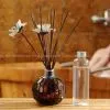 Reed Diffuser thumbnail-1