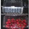 Transparent Box thumbnail-1