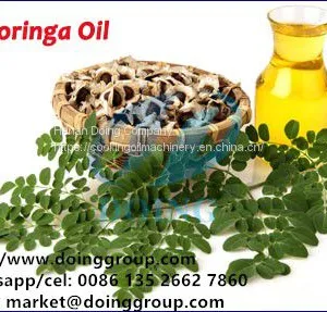 Moringa Oil Press Machine Single Screw Cold Pressed Oil Machine thumbnail-3