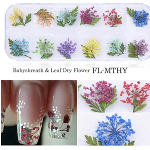 Natural Floral Leaf Stickers Tiny Dried Flowers For Nail Art Camellia Dry Flower thumbnail-3