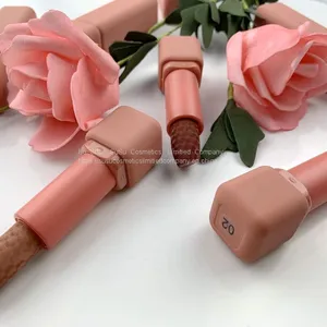 Custom Private Label Lipstick Solid Lip Stick Cosmetics Lipstick Cruelty Free Lipsticks in Your Logo thumbnail-1