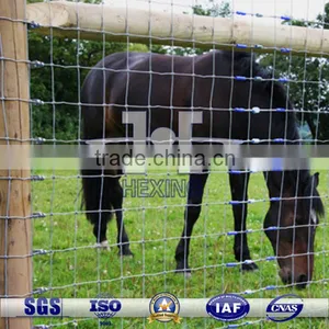 Hot Dippped Galvanized Cattle Fence thumbnail-1