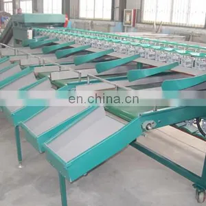 Factory Passion Fruit Roots Citrus Apple Processing Avocado Onion Size Grader Sorter Grading Sorting Machine thumbnail-2