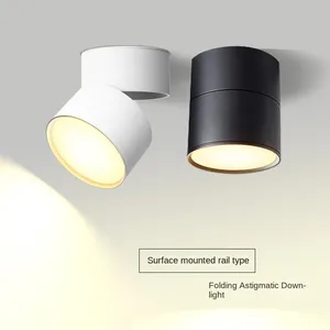 LED Surface Mounted Dual Head Tube Light With Scattered Light and no Opening. Clothing Store Background Wall, Exhibition Hall, Living Room, Ceiling Folding thumbnail-1