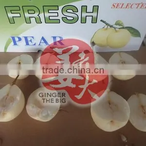 Fresh Pear thumbnail-4