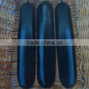Black Star No.1 Planting Hybrid Summer Squash Seeds thumbnail-1