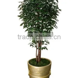 Artificial Banyan Tree+ thumbnail-1
