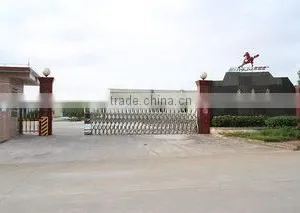 Shandong Yulong Polymer Science & Technology Co., Ltd. company overview - view 1 thumbnail