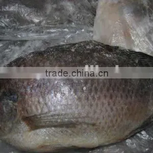 Frozen Whole Round Black Tilapia thumbnail-1