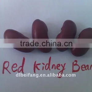 Dark Red Kidney Bean( British Type, Heilongjiang Origin.hps) thumbnail-1