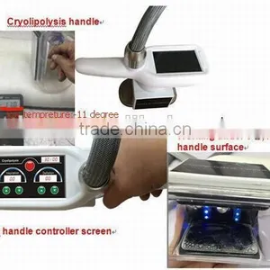Guangzhou HETA New Technology Lipo Zeltiq Laser Cryolipolysis Beauty Machine 8.4