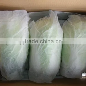 No Rusty Spot Fresh Cabbages Round Shape Chinese Cabbage thumbnail-2