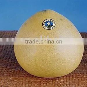 Fresh Honey Pomelo thumbnail-1