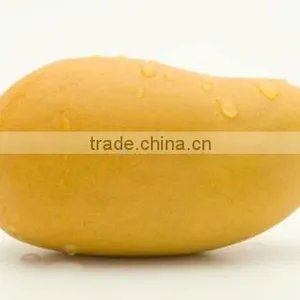 Pakistani Sindhri Mango thumbnail-1
