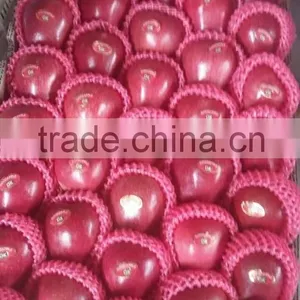 2016 Red Delicious Huaniu Apple thumbnail-1