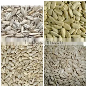 Sunflower Kernels Sunflower Seeds Kernels thumbnail-4