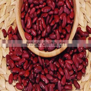 JSX Cooking British Red Kidney Bean Round Shape Food Grade Red Kidney Bean thumbnail-4