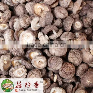 Free Shipping Premium Dried Shiitake Mushroom Dice With Low Prices thumbnail-2