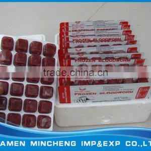Frozen Bloodworm thumbnail-1