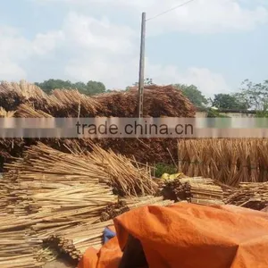 120X2.2CM UNCOATED NATURAL WOODEN STICK FACTORY FROM VIETNAM thumbnail-3