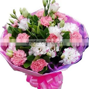 20 Pcs/ Bundle Fresh Carnation Fragrant Carnation Flower High Quality thumbnail-2