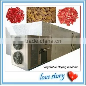 Apples Slices Chips Drying Machine/apples Slices Chips Dryer thumbnail-4