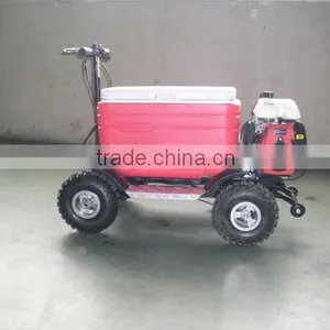 Hot Sale 48L 43cc EPA Gas Cooler Scooter/camping Scooter (TKS-S43) thumbnail-4