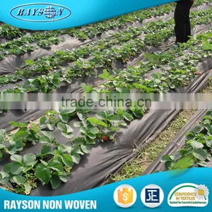 Online Shop Pp Spunbonded Uv Treat Non-Woven Fabrics thumbnail-2