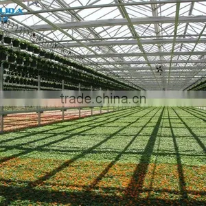 Multi Span Polycarbonate Green House Agriculture & Commercial Used Greenhouse thumbnail-3
