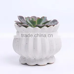 New Design Succulent Plants Ceramic Indoor Planters thumbnail-3