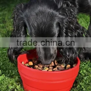Silicone Collapsible Travel Bowls for Your Dog&silicone Collapsible Pet Bowl&silicone Dog Bowl thumbnail-1