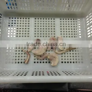 Mix of Seafood thumbnail-3