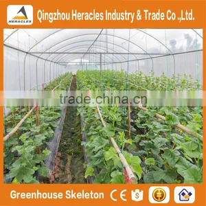 Heracles Trade Assurance Greenhouse Tunnel thumbnail-1