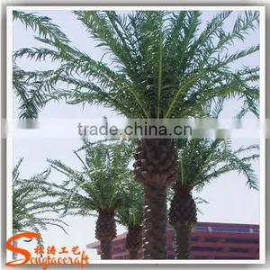 Hot Sale Fake Decoration Wood Palm Tree Names Miniature Plastic Palm Tree Decoration Palm Tree thumbnail-5