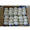 Fresh White Garlic thumbnail-1
