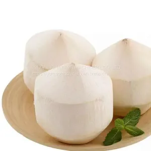 Coconut Dehusking Machine, Coconut Skin Peeling Machine, Coconut Shell Remove WT/8613824555378 thumbnail-5
