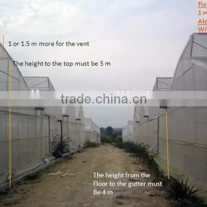 Agriculture Muti-span Plastic Covered Greenhouse thumbnail-2