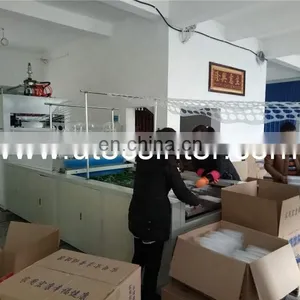 UD750B CE CSA Certificate Approval Automatic PP PET PS Plastic Dish Plate Tray Thermoforming Making Machine thumbnail-5