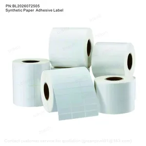 Synthetic Paper thumbnail-1