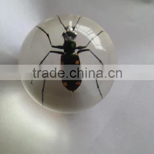 Professional Wholesale Inflatable Clear Plastic Ball With Human Ember Embedded for Christmas Gifts thumbnail-5