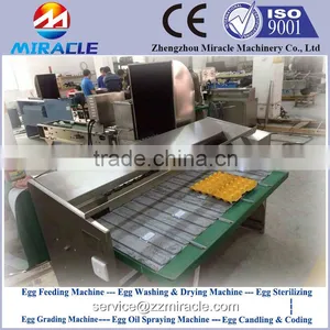 Top Selling in Chicken Eggs Grader Machine, Sorted and Graded Eggs by Weight thumbnail-3