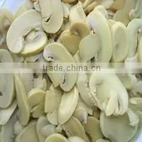 Mushroom PNS thumbnail-6